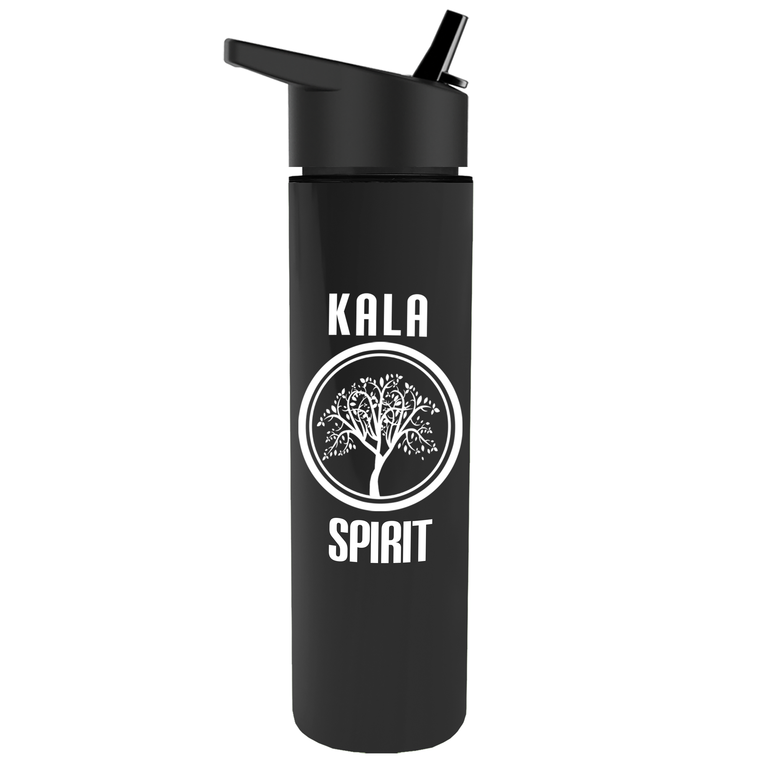 Slim Double-Wall Insulated Bottle with Flip-Straw Lid - 16 oz.